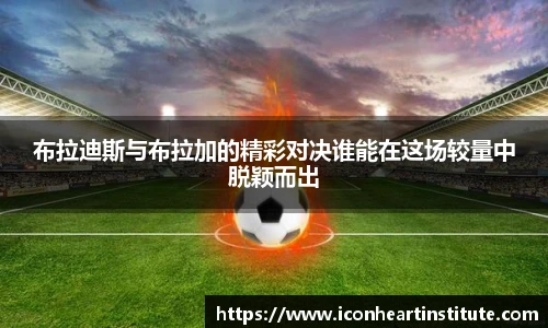 乐竟官网
