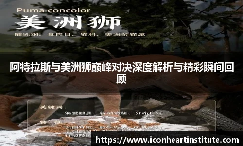 LEJING.COM官网